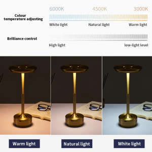 https://www.wonledlight.com/rechargeable-led-bureaulamp-pleated-shade-product/